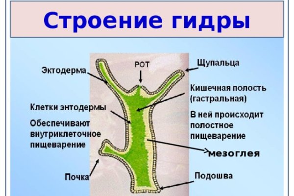 Кракен ссылка bazaonion com