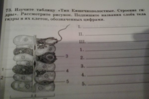 Кракен даркнет отменился заказ